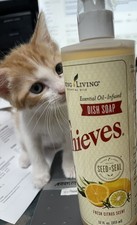 NEW BATCH YOUNG LIVING THIEVES DISH SOAP-12 OZ-NEW  SEALED-PLANT BASED