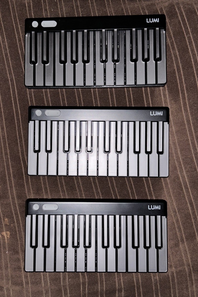 Lumi Keys by ROLI Portable Illuminated Keyboard With Casw