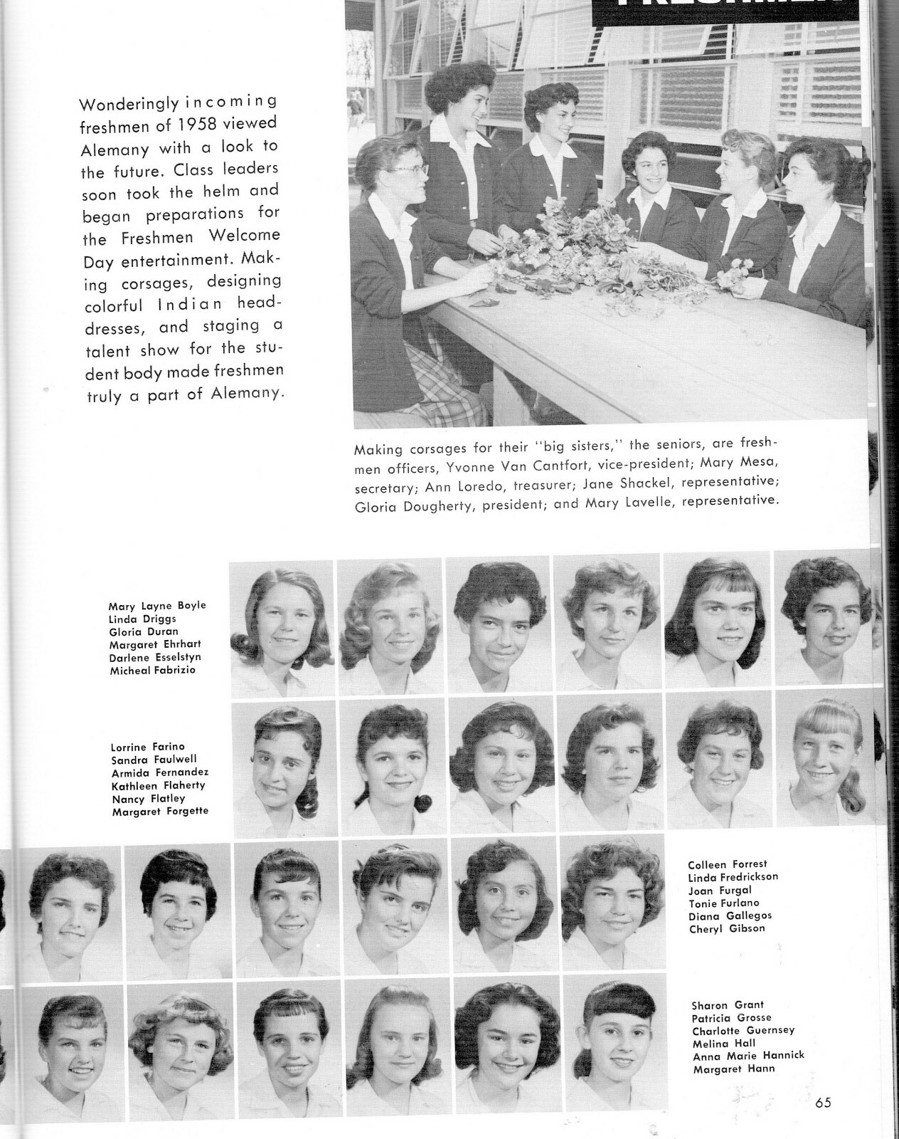 Picture 10 of 19
