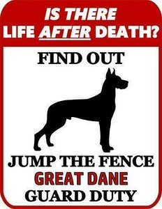 great dane jumping fence