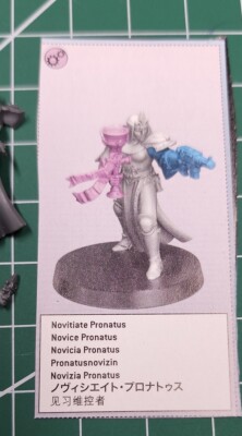Sisters Of Battle Kill Team Single Model (Novitiate Pronatus x1) warhammer 40k 