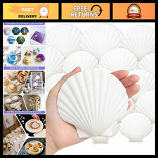 30 PCS Large Scallop Shells, 4-5 Inch Natural Craft Supplies for DIY Projects