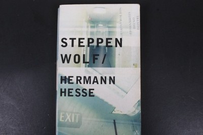 Steppenwolf Hermann Hesse 1965 Penguin Books Classic Novel Paperback PB