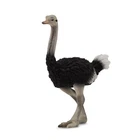CollectA Ostrich