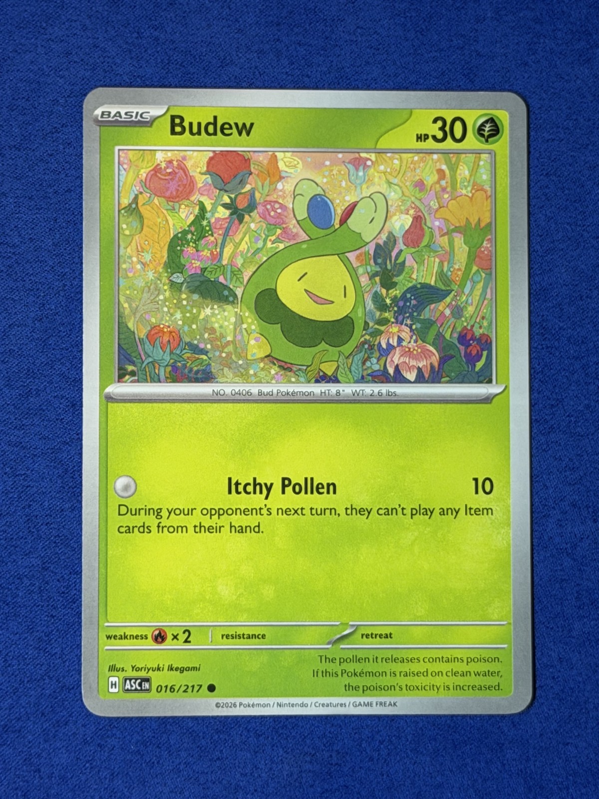 Budew - Pokemon Ascended Heroes #16 NM