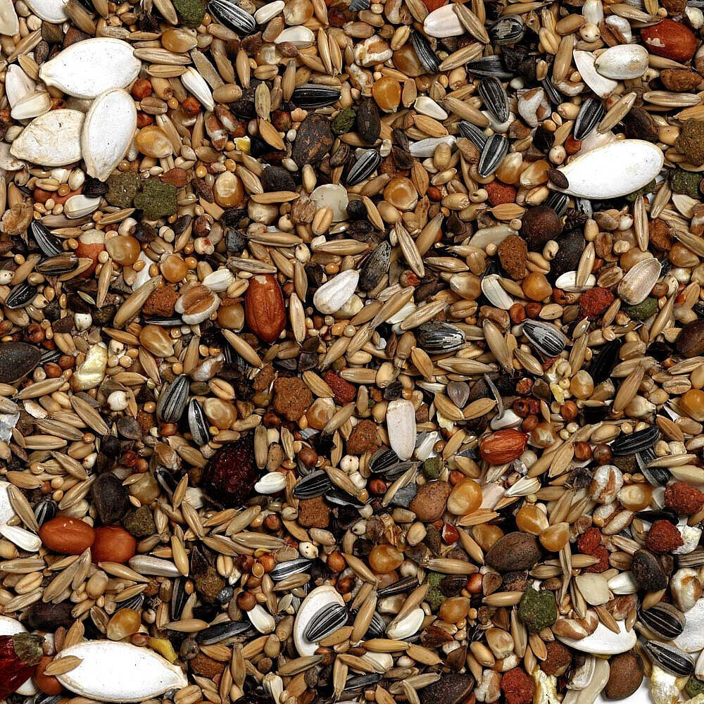 Prestige Premium Amazon Parrot Food Seed Seed Mix Blend for Pet Birds