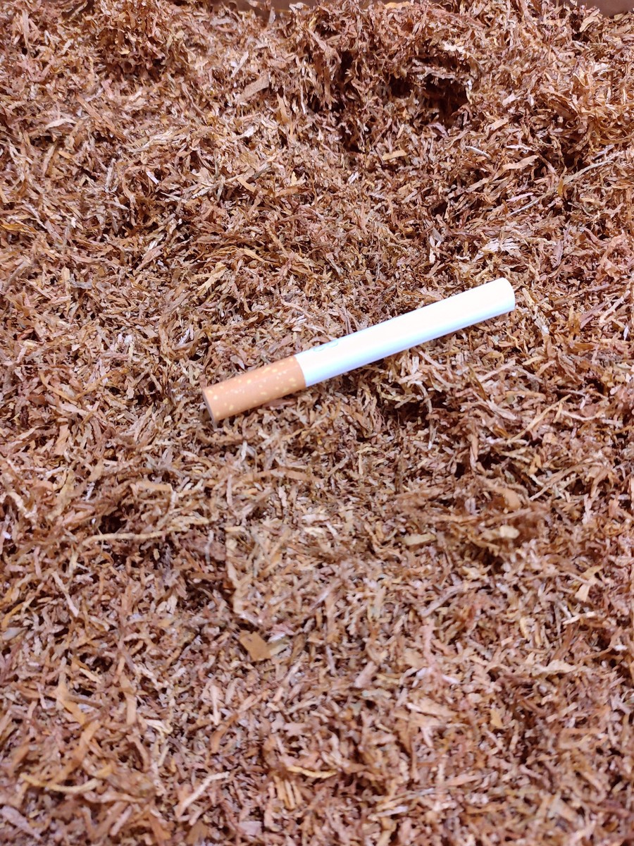 tobacco seeds for cigarettes 6000+ Tobacco Seeds 2000+ Each Marlboro Blend Burley, Virginia, Basma Fresh  2025