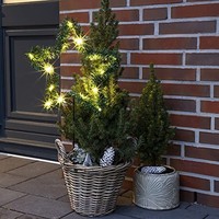 Led Weihnachtsstern Weihnachtsbeleuchtung Gartenstecker Warmweiß 15 Led's