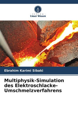 Ebrahim Karimi Sibaki | Multiphysik-Simulation des...