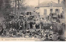 Hunting - SAN37831 - Running hunting in the forest of Fontainebleau
