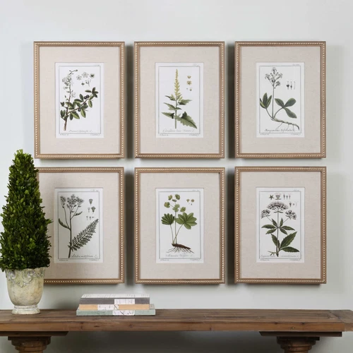 Botanical Study Leaf Berry Flower Wall Art Gold Frame Set Of 6 ~ Uttermost 33651 - Picture 1 of 11
