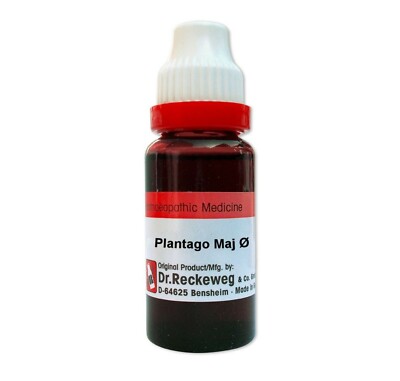 Dr Reckeweg Germany Homeopathic Plantago Major Mother Tincture 1X(Q) 20ml 