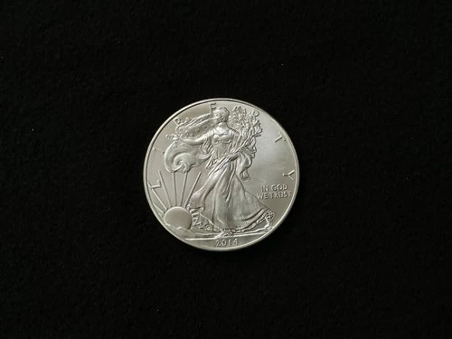 2014 American Silver Eagle BU 1 Oz Coin US $1 Dollar Mint  Uncirculated #10