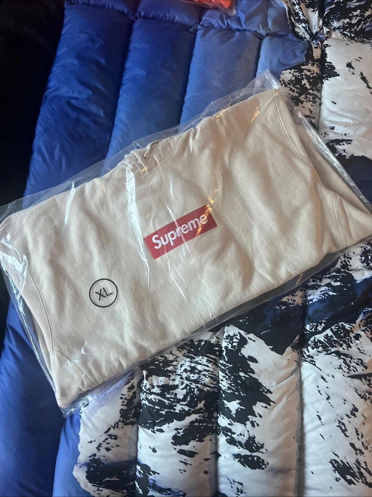 Sweat à capuche logo Supreme Box rare FW24 Stone XLarge