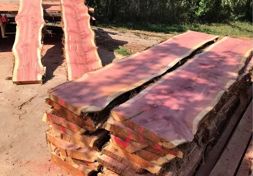 🔥 Stunning Live Edge Eastern Red Cedar – Kiln-Dried & Ready to Go! NEW!