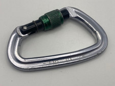 Black Diamond Positron Screwgate Carabiner