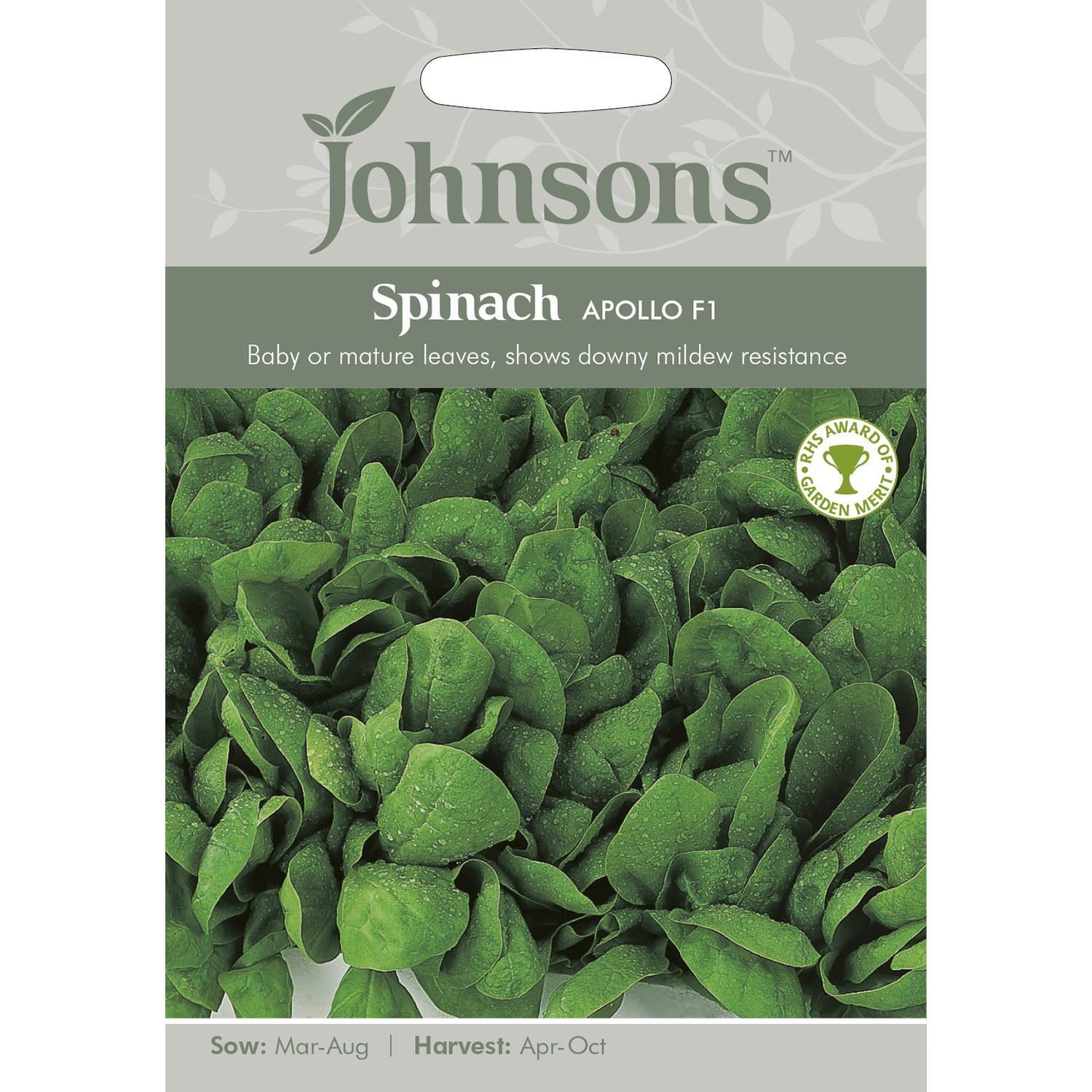 Mr Fothergill's RHS  Spinach Apollo F1 Grow Your Own Vegetables Seeds Packet