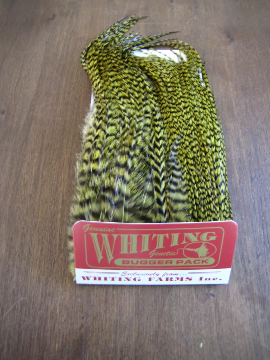 Fly Tying-Whiting Farms Bugger Pack Grizzly dyed Golden Olive