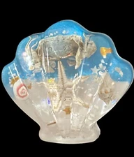 Magnet- CLAM SHELL- Sea Life - Crab Shells- starfish-blue white