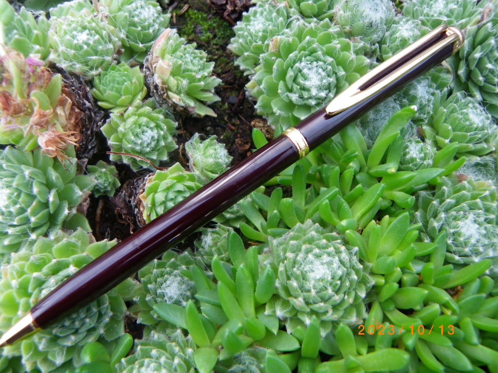 Waterman Gentleman laque noir : l'histoire d'un porte-mine mythique de collection