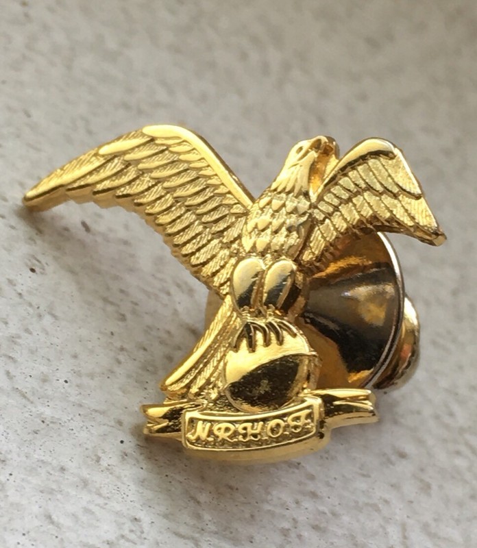 National Rivers Hall of Fame Pin HTF Rare Eagle Holding Or Standing on the Earth