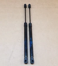 ⭐⭐ OEM 2019 - 2021 INFINITI QX50 HOOD LEFT & RIGHT SUPPORT SHOCK STRUT PAIR ⭐⭐