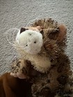 Picture 12 of 12