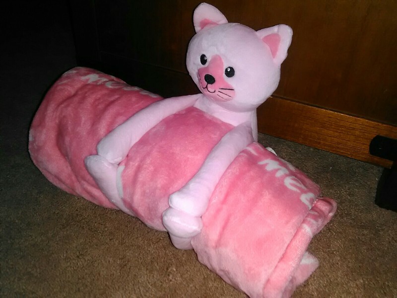 Warm & Cozy Blanket With Stuffed Plush Cat Animal Friend! * Brand New!
