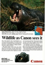 1987 CANON EOS 650 camera PIGMY HIPPOPOTAMUS Vintage Print Ad
