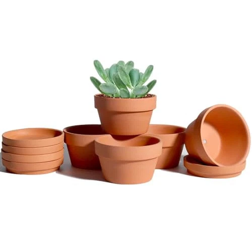 3.7 Inch Terracotta Shallow Succulent Pots - 6 Pack Terra Cotta Clay Pot with - Picture 2 of 7