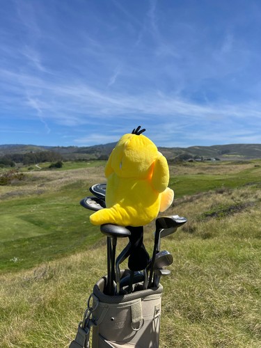 Psyduck Pokemon Golf Head Cover - Bild 3 von 7
