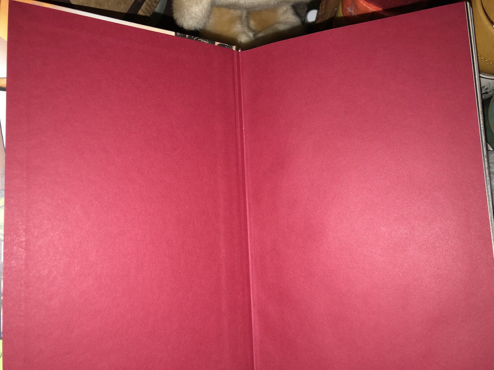 Picture 4 of 9