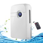 2.5L Mini Dehumidifier 42W Portable Dehumidifier For Kitchen/Wardrobe/Bedroom