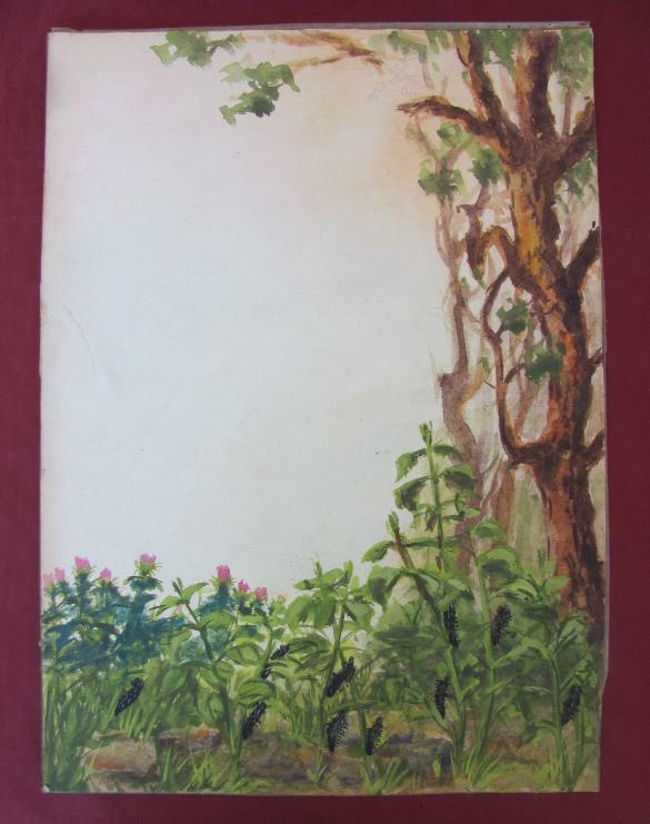 Picture 9 of 12