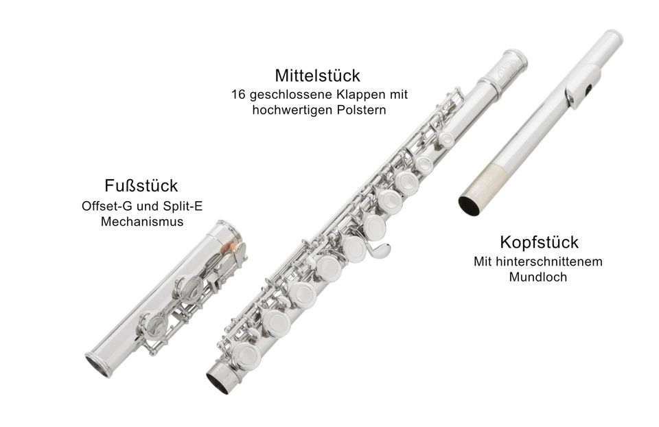 Flauto Traverso in DO para Scuola 16 Fori Chiusi Nichel Argento Set Custodia - Immagine 4 di 4