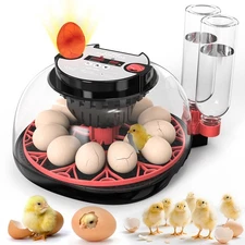 Incubators for Hatching Eggs,12 Egg Incubator with Automatic Egg Turning and ...