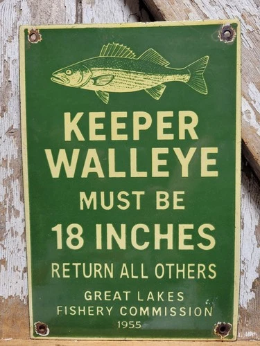VINTAGE GREAT LAKES PORCELAIN SIGN OLD 1955 FISHERY COMMISSION WALLEYE FISHING