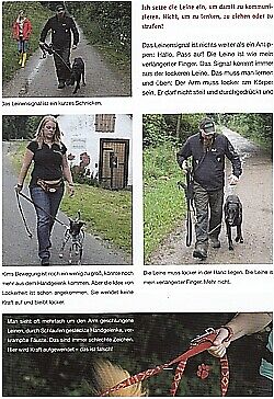 Thumbnail - Schüler: Wir Verstehen Uns Hunde/welpen