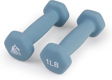 Set of 2 Neoprene Coated Dumbbell Hand Weights, Anti-Slip and Anti-Roll Hex Dumb