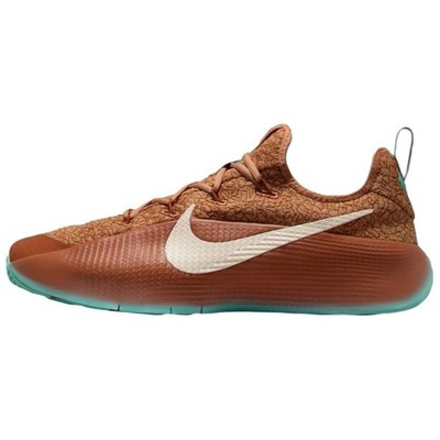 Nike LeBron Tr 1 Better With Age FJ6151-200