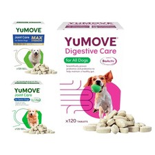 Hip And Joint Supplement Dogs Dog Hip Joint Care Advanced Aggressive