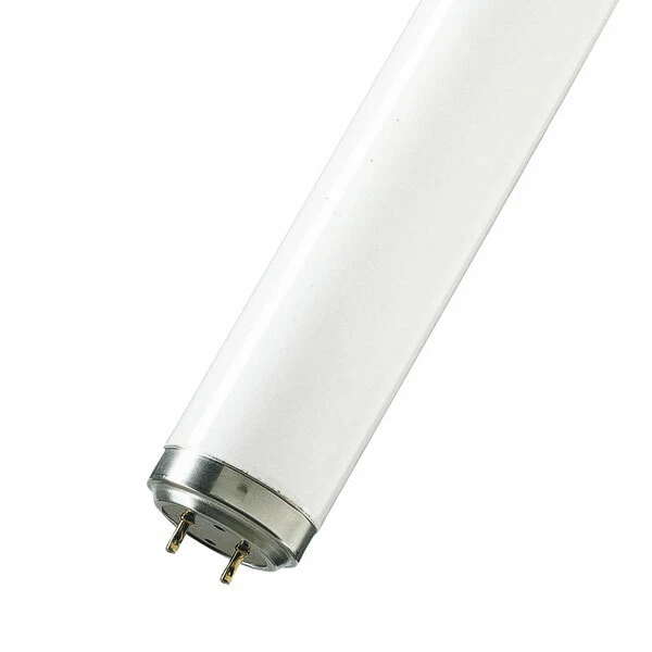 WSL 8ft 100w T12 FLUORESCENT TUBE IN STANDARD WHITE 8 foot tube