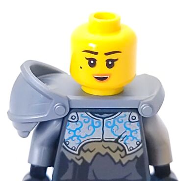 Lego Mini Figure Ninjago Hero Jay with Shield from Set 71717 | eBay