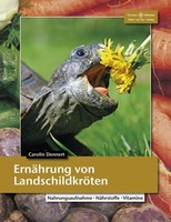 ErnäHrung Von LandschildkröTen Carolin Dennert