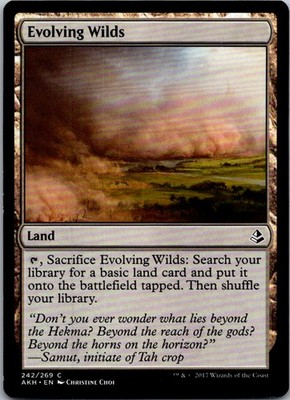 Evolving Wilds 242 AKH NM
