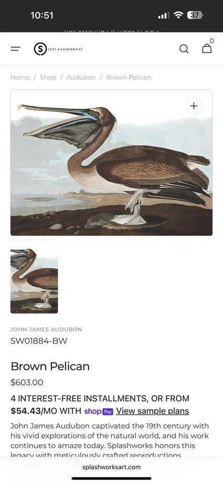 Obra de arte con impresión de pelícano John James Audubon Foto 4 de 4