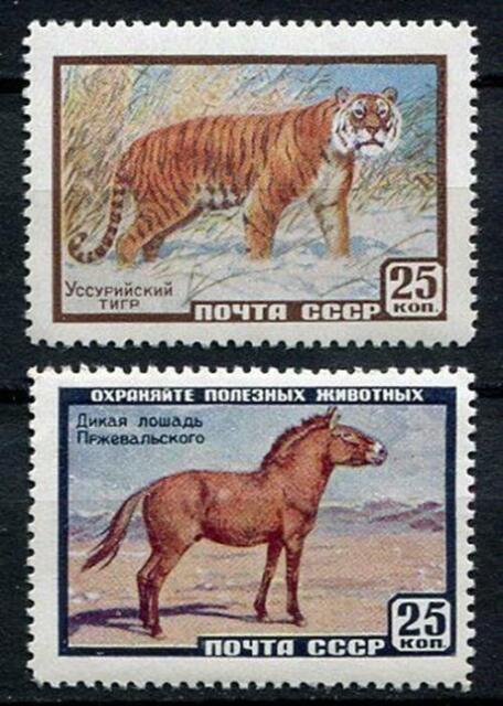 28320) Russia 1959 MNH New Tiger - Horse 2v