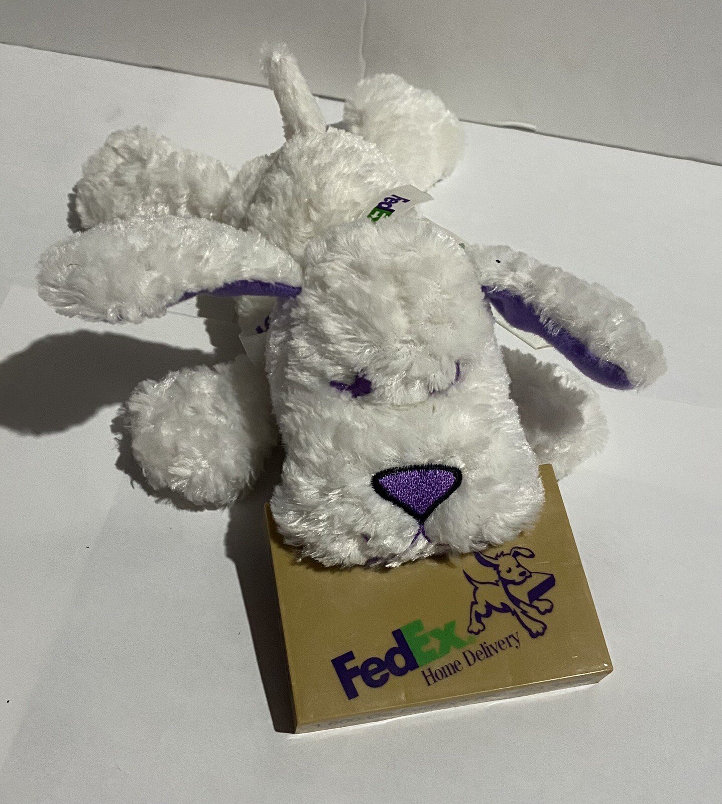 Can You Ship A Dog Via Fedex