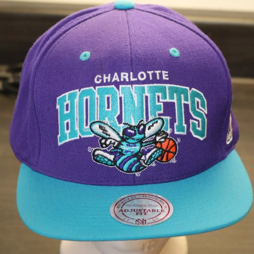 Charlotte hornets baseball clearance cap