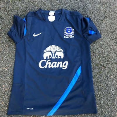 nike everton